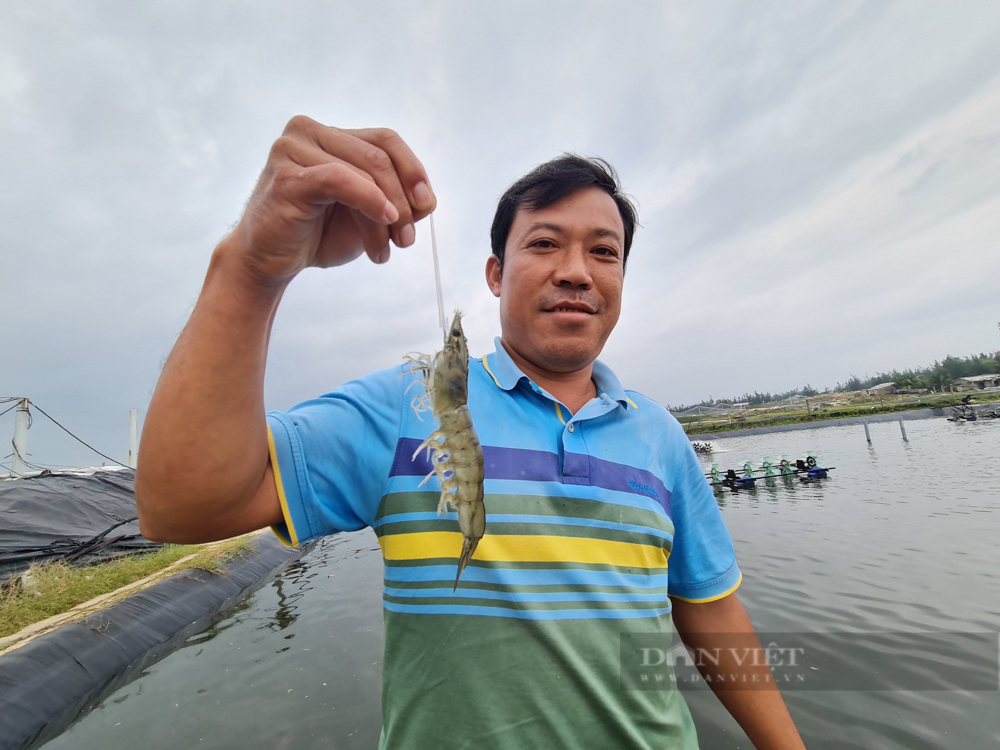 “Vua tôm” xứ Quảng trở thành nông dân Việt Nam xuất sắc    - Ảnh 7.