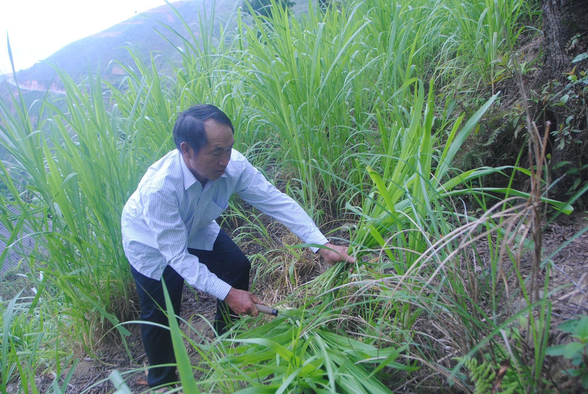 Bắc Yên: Nâng cao chất lượng cuộc sống người cao tuổi - Ảnh 2. Bắc Yên: Nâng cao chất lượng cuộc sống người cao tuổi - Ảnh 2.