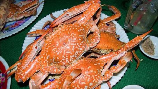 Du lịch mùa dịch đi đâu: Đến Phú Quốc ăn ghẹ Hàm Ninh - Ảnh 5.