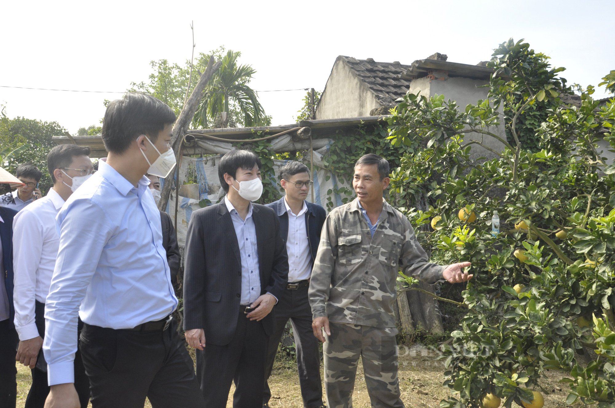 Phó Chủ tịch Hội Nông dân Việt Nam thăm mô hình ở Đông Triều, ấn tượng với xây dựng NTM nơi đây - Ảnh 5.