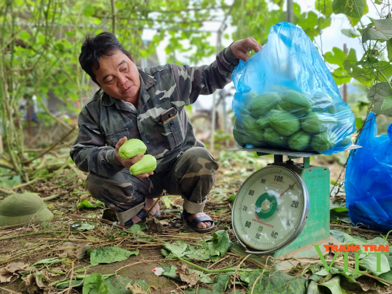 Nông dân Tây Bắc: Làm giàu từ mô hình kinh tế tổng hợp - Ảnh 1.