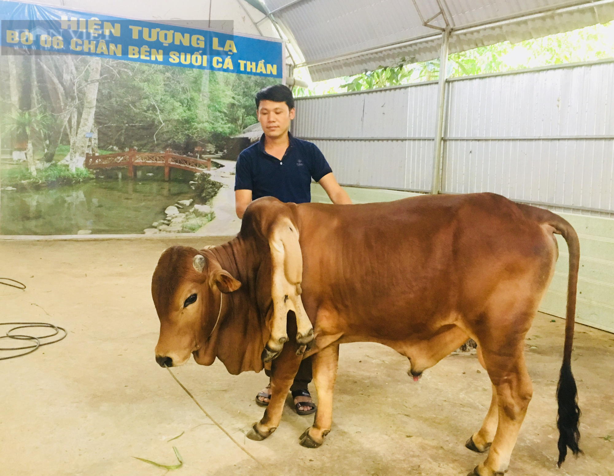 Thanh Hóa: Khu du lịch suối cá “thần” Cẩm Lương đìu hưu - Ảnh 4.