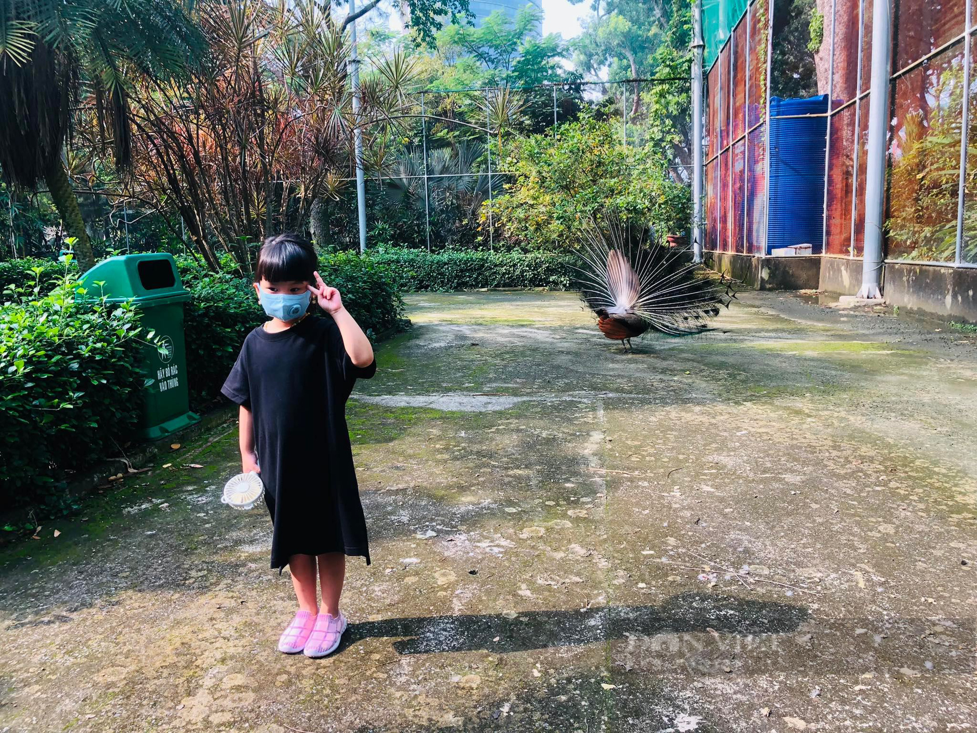 Phụ huynh tay xách nách mang đưa con đi Thảo Cầm Viên trong ngày đầu mở cửa - Ảnh 5.