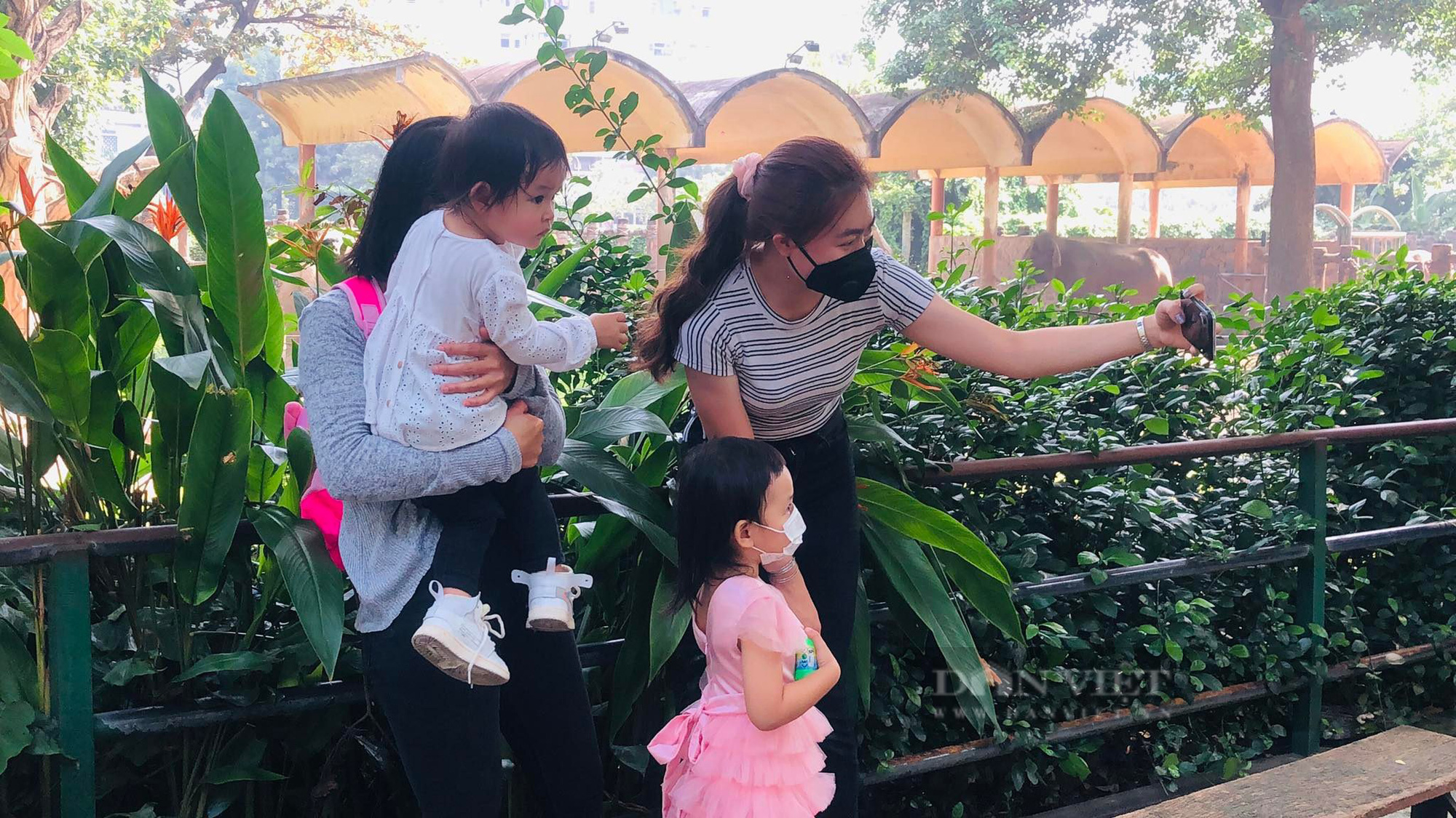 Phụ huynh tay xách nách mang đưa con đi Thảo Cầm Viên trong ngày đầu mở cửa - Ảnh 8.