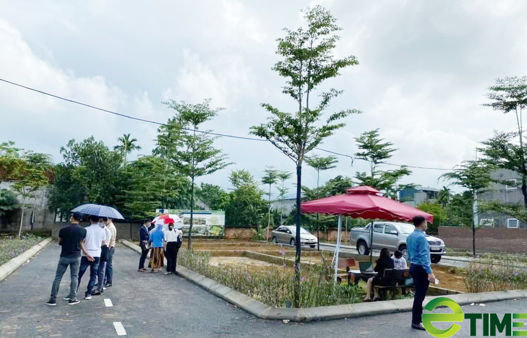 Bộ Xây dựng: Đất nền ở TP.HCM "quay đầu" giảm giá - Ảnh 2. Bộ Xây dựng: Đất nền ở TP.HCM "quay đầu" giảm giá - Ảnh 2.
