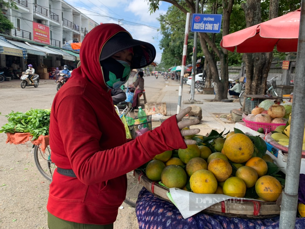 Thực hư thông tin cam Vinh còn 3.000 đồng /kg!?   - Ảnh 4.