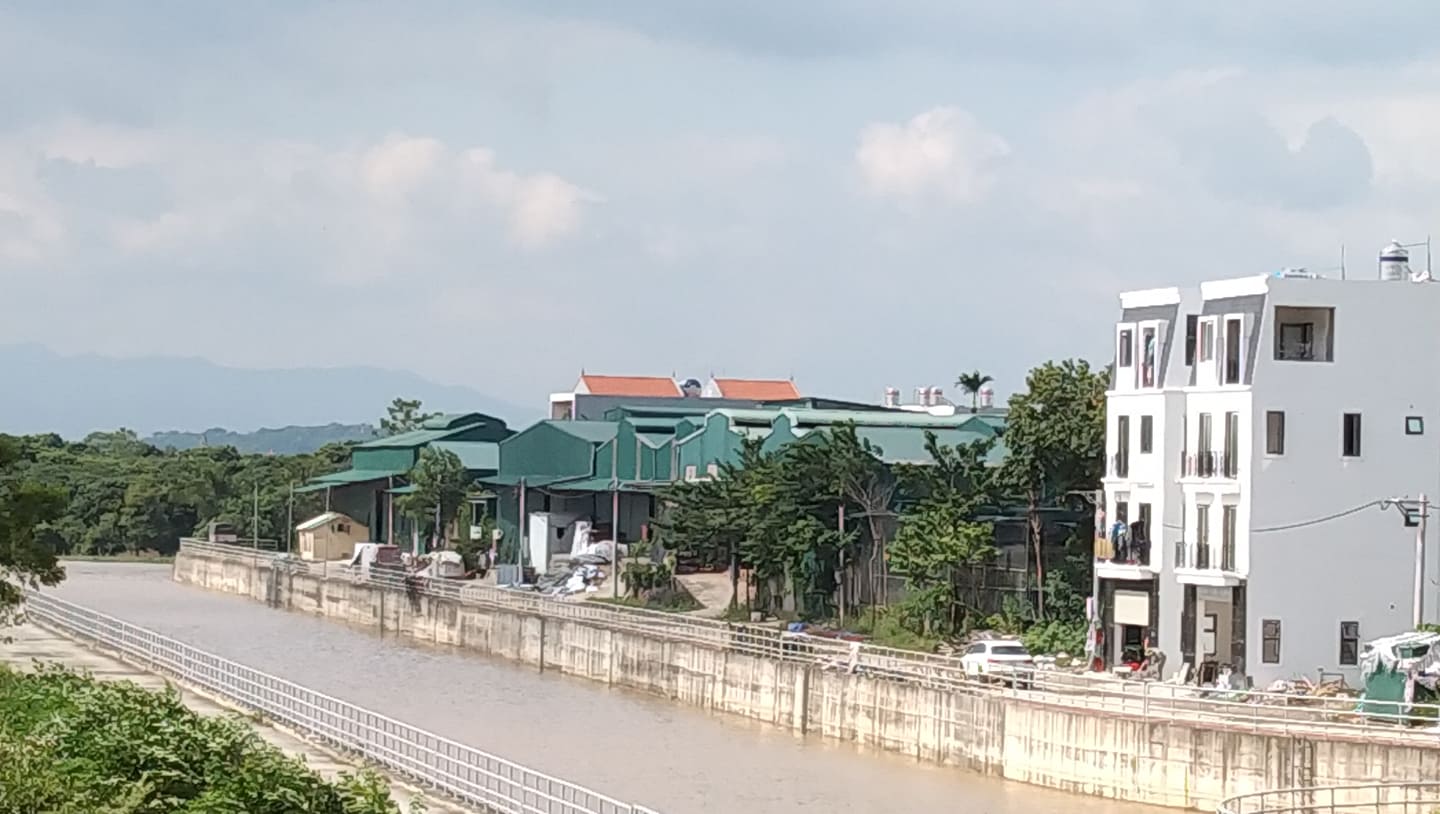 Tổng cục Thuế tiếp tục gia hạn tiền thuế, tiền thuê đất cho người dân, doanh nghiệp - Ảnh 3.
