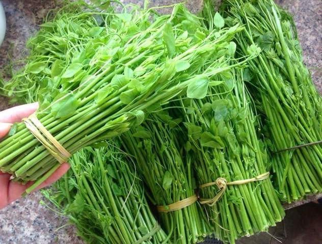 Giá rau xanh vẫn ở mức cao nhưng 3 loại rau lạ này còn đắt hơn cả thịt, cá, không phải muốn ăn là có - Ảnh 5.