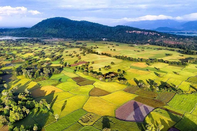 Vùng xanh Khu du lịch Rừng tràm Trà Sư sẵn sàng cho ngày trở lại - Ảnh 1.