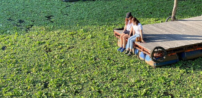 Vùng xanh Khu du lịch Rừng tràm Trà Sư sẵn sàng cho ngày trở lại - Ảnh 2.