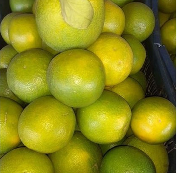 Loại quả nào khiến Võ Tắc Thiên chỉ nếm 1 lần lập tức khen ngợi và yêu cầu nông dân hàng năm cống nạp? - Ảnh 7.