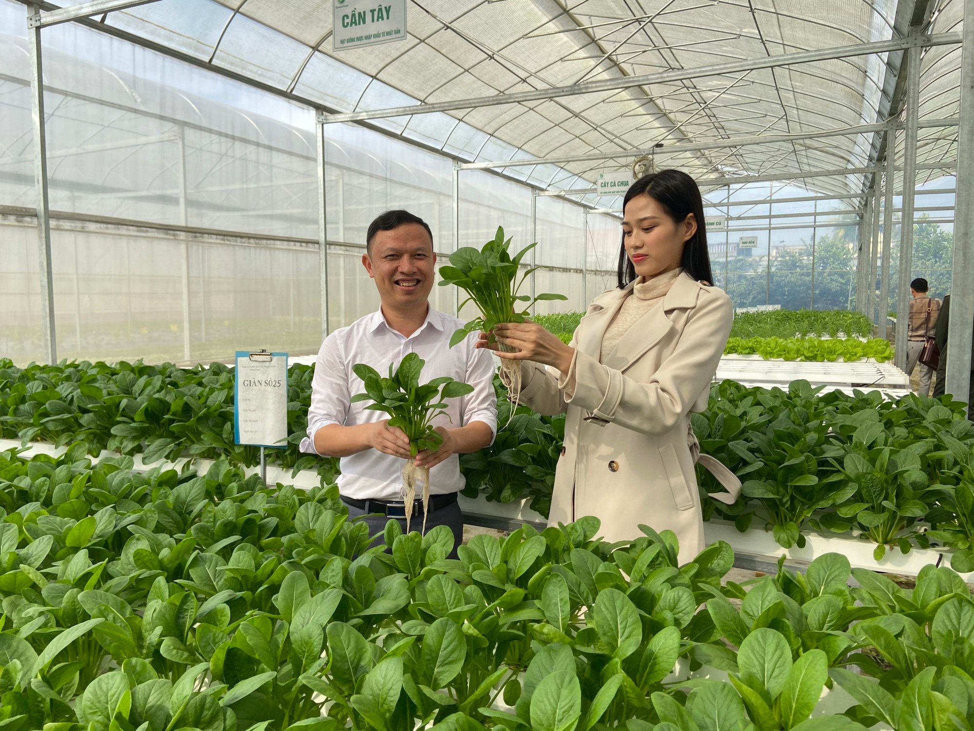 Tỷ phú quê rau má trở thành nông dân Việt Nam chuyển đổi số xuất sắc như thế nào? - Ảnh 3.