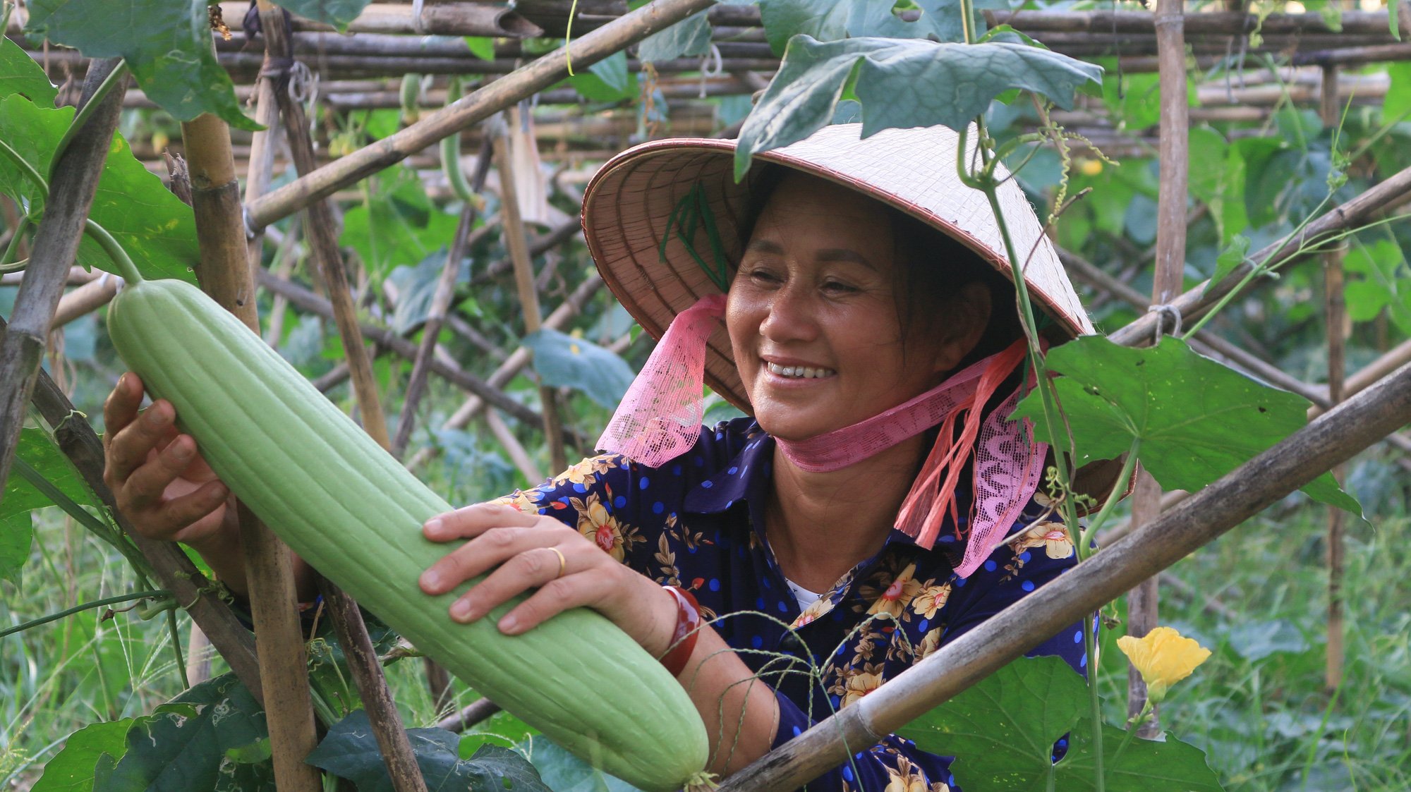 Kể chuyện làng: Nhớ &quot;đặc sản&quot; những ngày đói ăn - Ảnh 4.