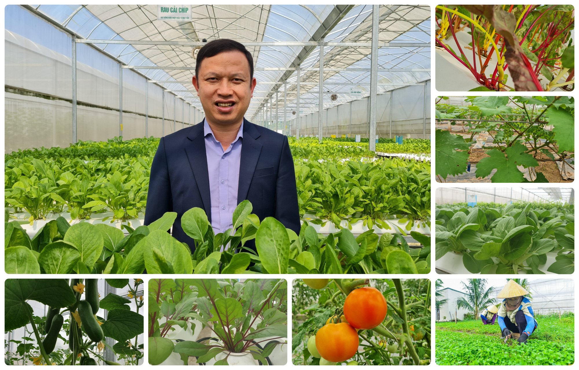 Tỷ phú quê rau má trở thành nông dân Việt Nam chuyển đổi số xuất sắc như thế nào? - Ảnh 9.