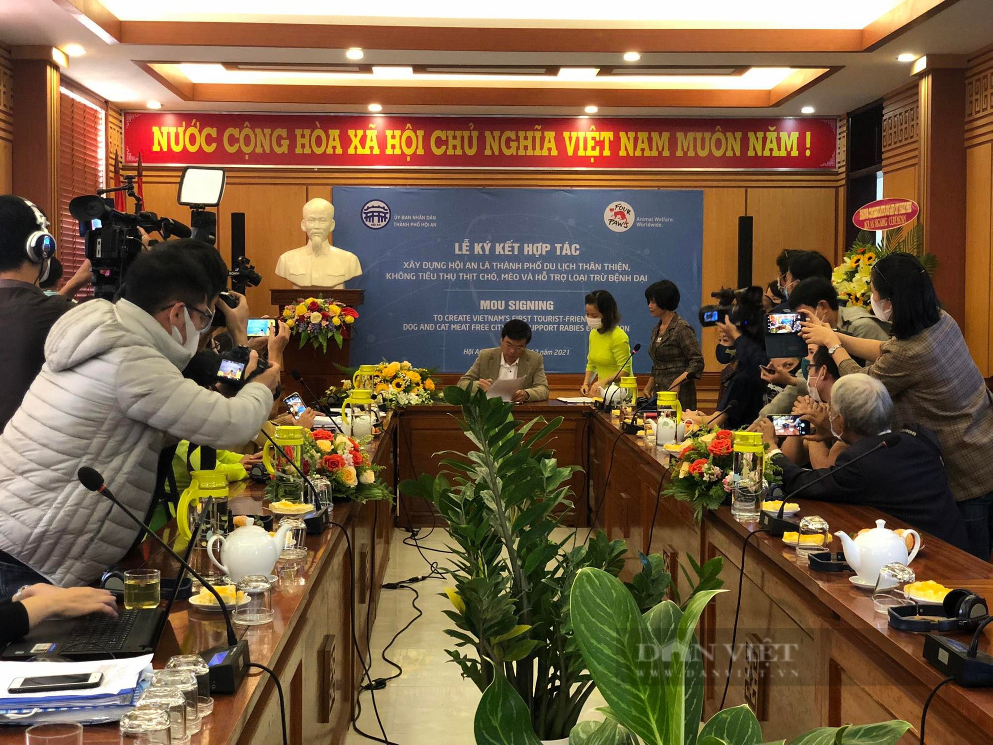 Hội An, thành phố đầu tiên của Việt Nam nói không với tiêu thụ chó, mèo - Ảnh 1.