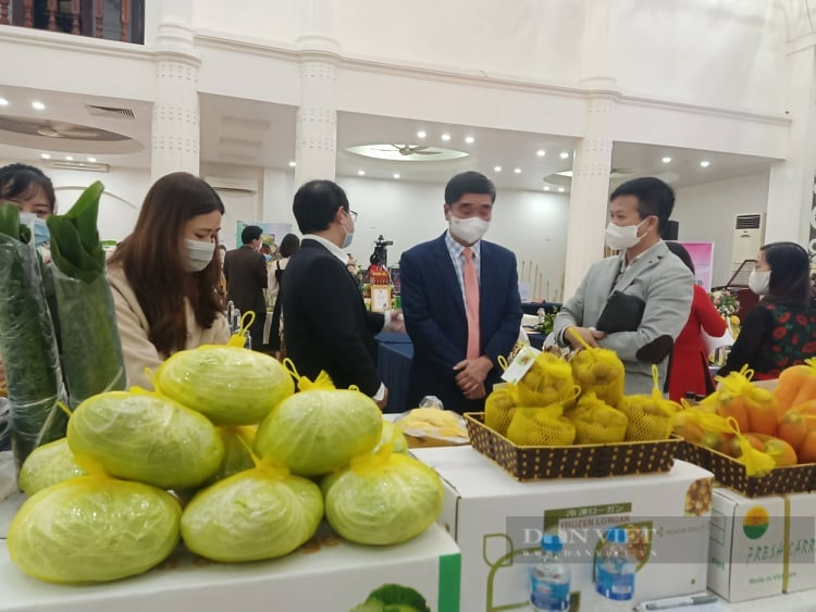 Hải Dương: Sở NNPTNT đẩy mạnh kết nối nông sản chủ lực, khát vọng “cất cánh” - Ảnh 4.