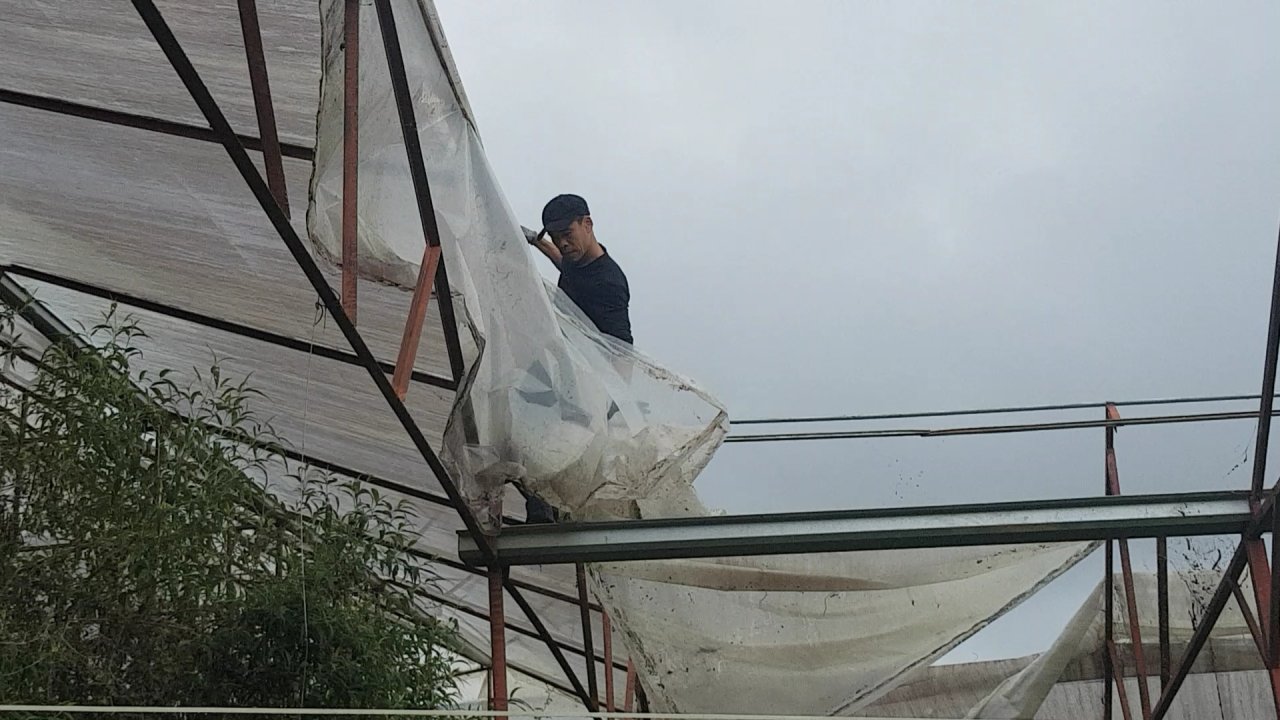 Đà Lạt: Phê bình nhiều lãnh đạo phường, khẩn trương rà soát nhà kính, nhà lưới trên đất lâm nghiệp - Ảnh 3.