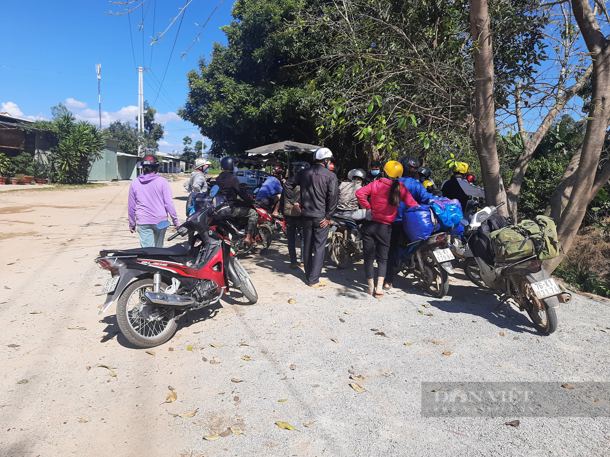  Kon Tum: &quot;Chợ lao động&quot; thu hái cà phê - Ảnh 1.