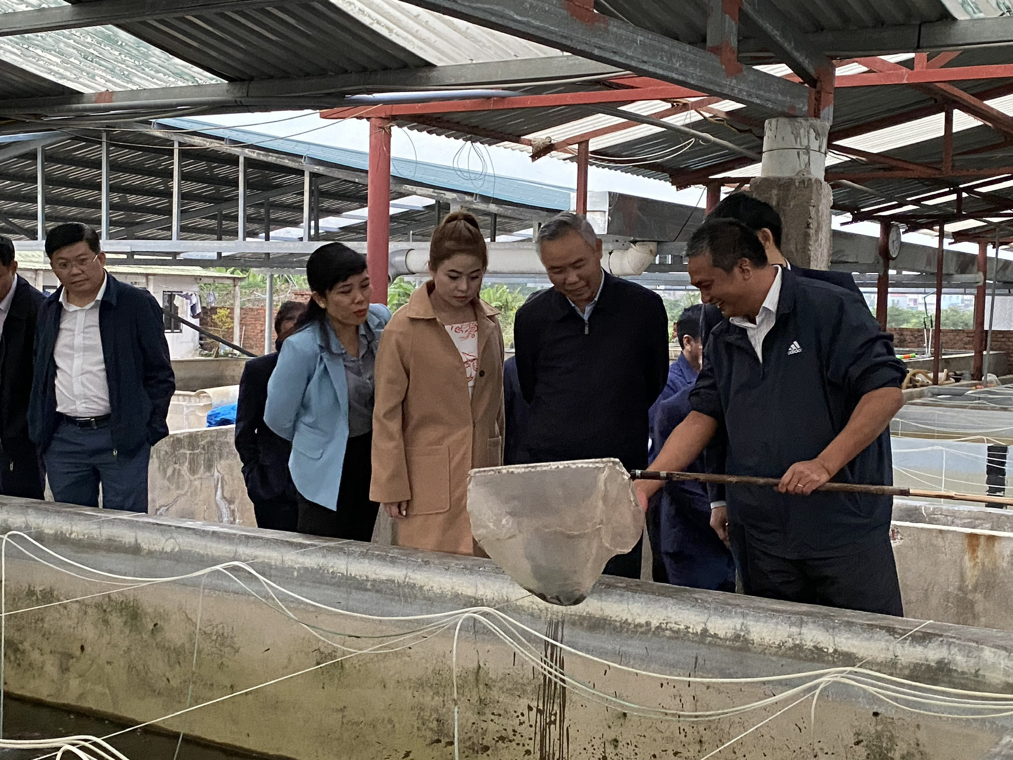 Dùng chế phẩm này, bà con nuôi tôm yên tâm với đàn tôm khỏe mạnh, lớn nhanh - Ảnh 2.