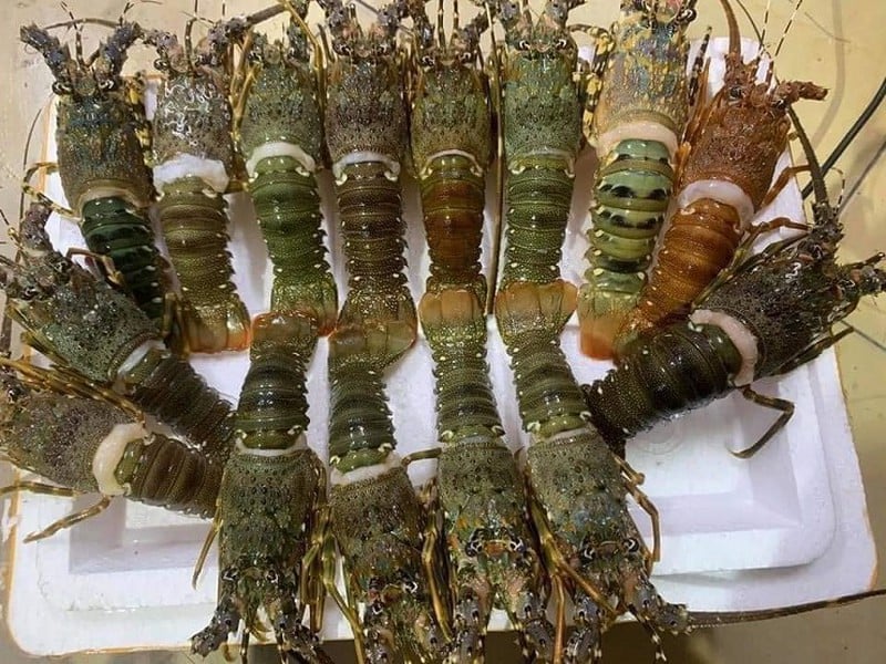 Đặt mâm hải sản đầy tôm cua với giá chỉ 250.000 đồng và cái kết - Ảnh 2.