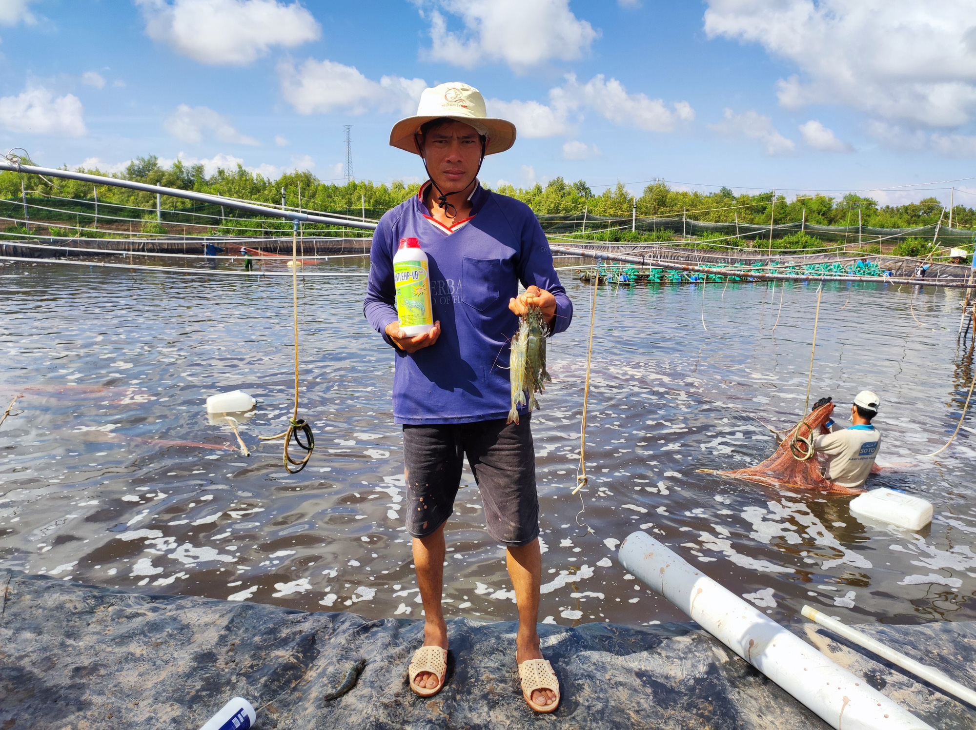 Dùng chế phẩm này, bà con nuôi tôm yên tâm với đàn tôm khỏe mạnh, lớn nhanh - Ảnh 3.