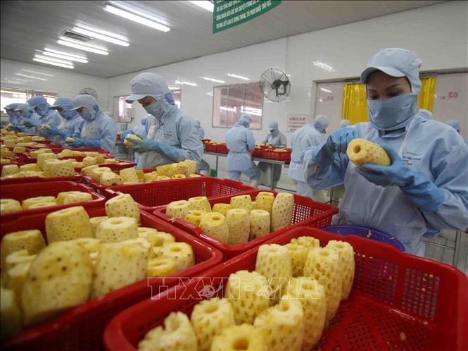 Việt Nam - Hàn Quốc hướng tới kim ngạch thương mại 100 tỷ USD - Ảnh 1.
