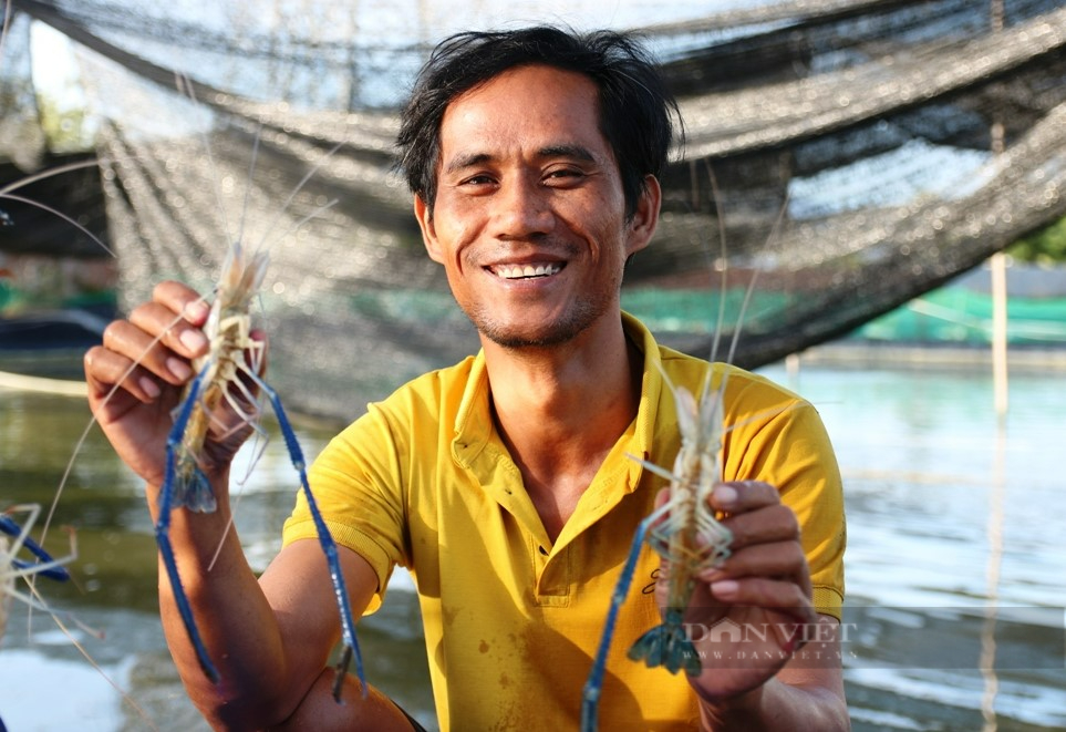 Nông dân người Chăm nuôi tôm càng xanh “có 1 không 2” trên miền sa mạc cát Ninh Thuận - Ảnh 3.