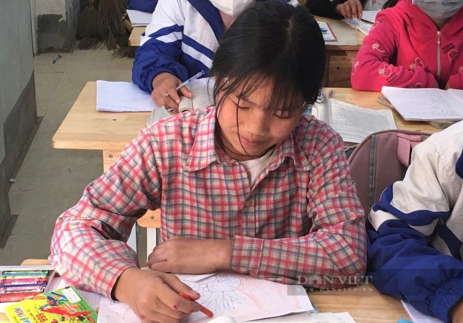 Hà Giang: Bố mất, mẹ bỏ đi, 3 anh em sống nương tựa vào nhau - Ảnh 2.