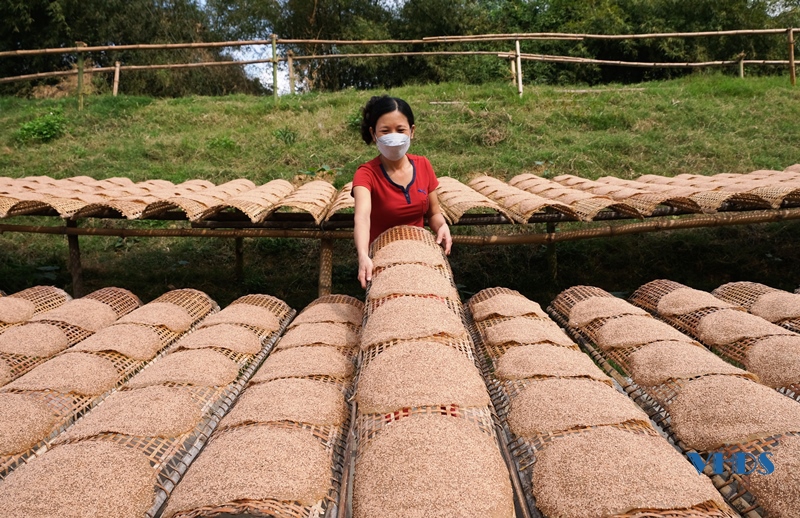 Nhờ làm loại bánh đặc sản tròn tròn, to to, giòn đôm đốp, cả làng nghề Chòm trăm tuổi có khoản thu đều tay - Ảnh 8.