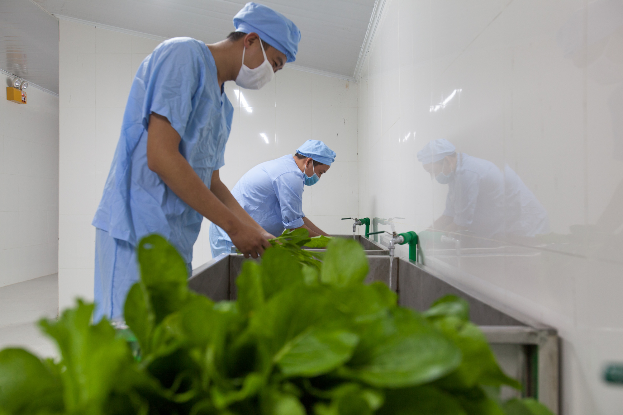 Nông nghiệp đảm bảo dinh dưỡng và câu chuyện kết nối với thị trường - Ảnh 1.