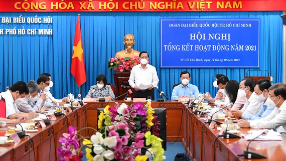 Đại biểu QH TP.HCM yêu cầu giám sát đầu tư công, nhà đất công - Ảnh 1.