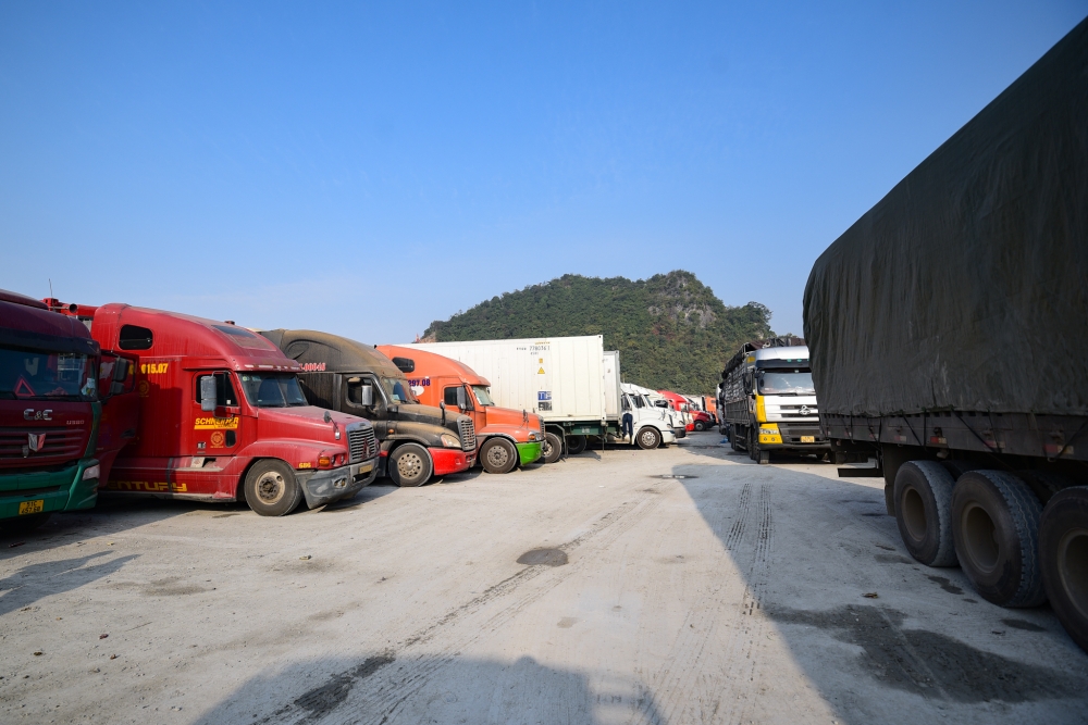 Hơn 4.800 xe hàng xuất đi Trung Quốc tắc ở cửa khẩu, Phó Thủ tướng chỉ đạo khẩn - Ảnh 1. Hơn 4.800 xe hàng xuất đi Trung Quốc tắc ở cửa khẩu, Phó Thủ tướng chỉ đạo khẩn - Ảnh 1.