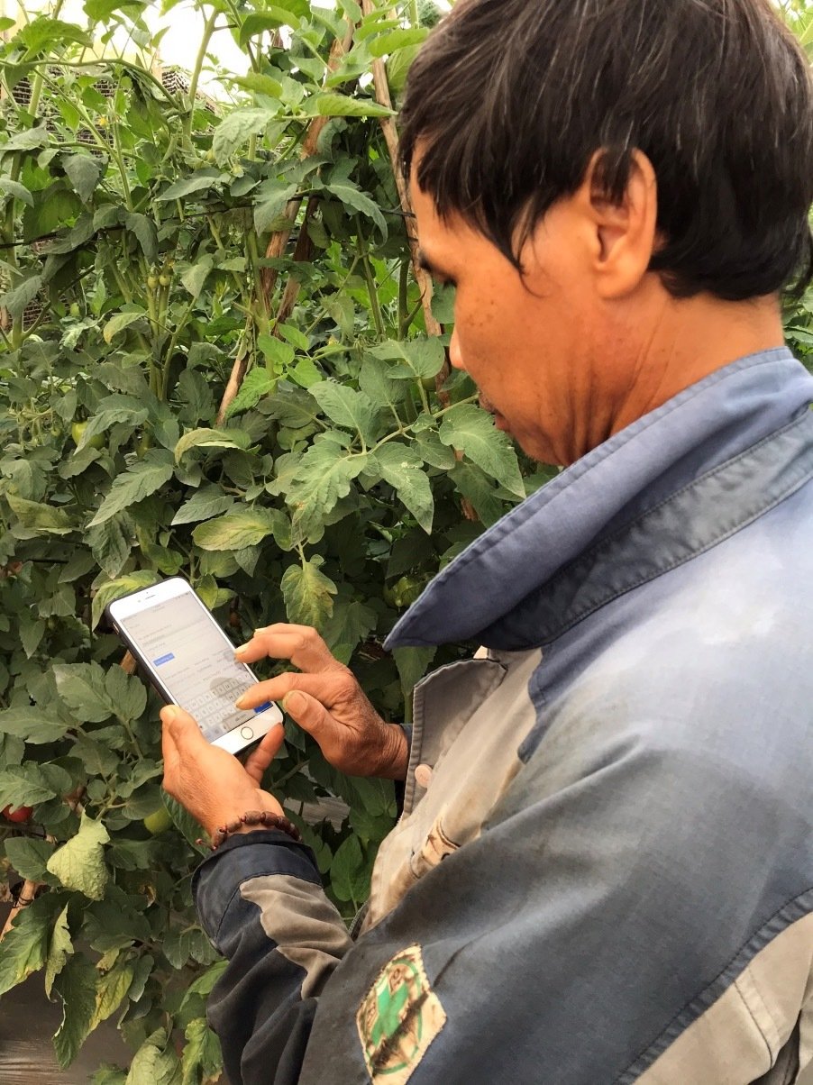 Nông dân Việt Nam xuất sắc là những người đi đầu dẫn dắt hàng triệu hội viên ND cùng chuyển đổi số - Ảnh 2.