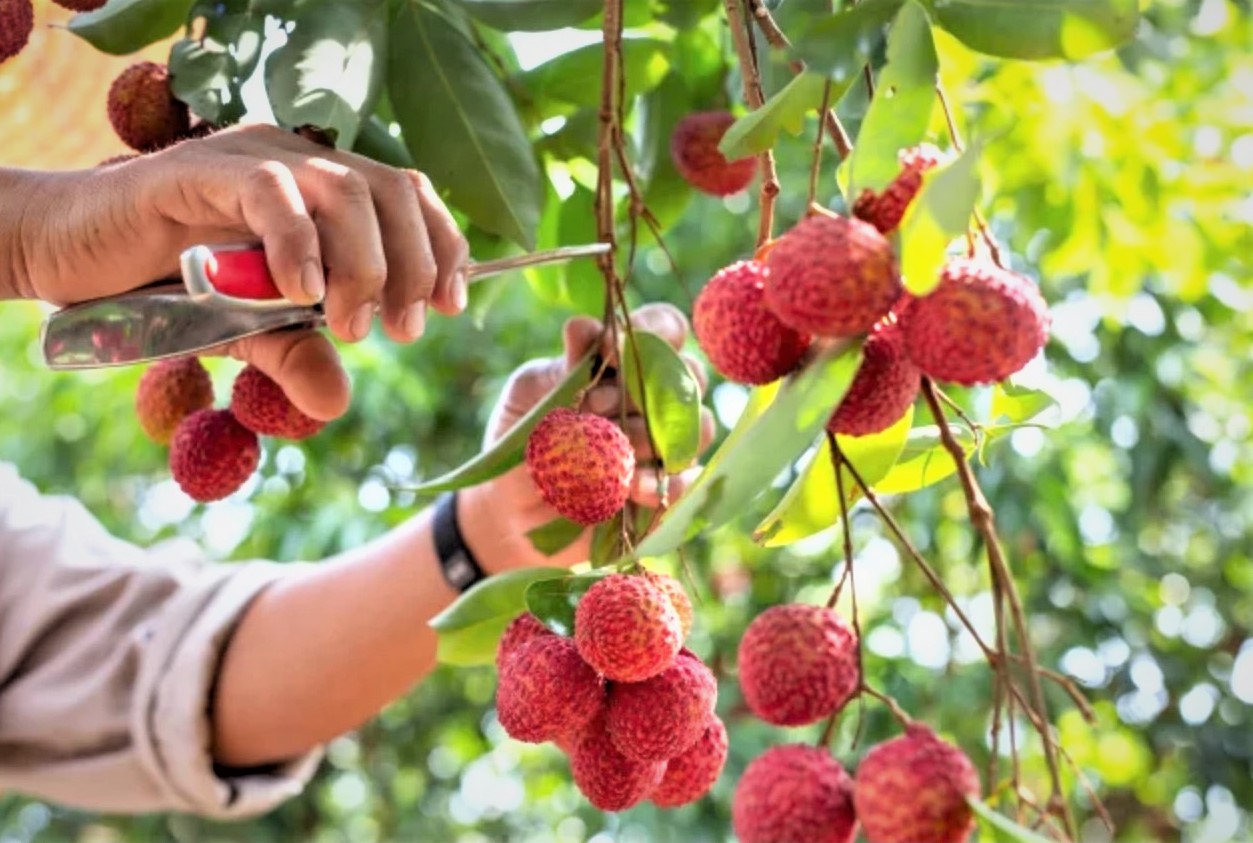 Chuyển đổi số nông nghiệp - cuộc &quot;cách mạng&quot; của ruộng đồng - Ảnh 2.
