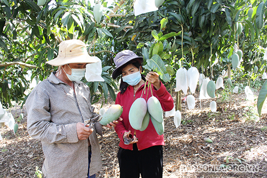 Con đường sáng của nông sản Việt Nam - Ảnh 1. Con đường sáng của nông sản Việt Nam - Ảnh 1.