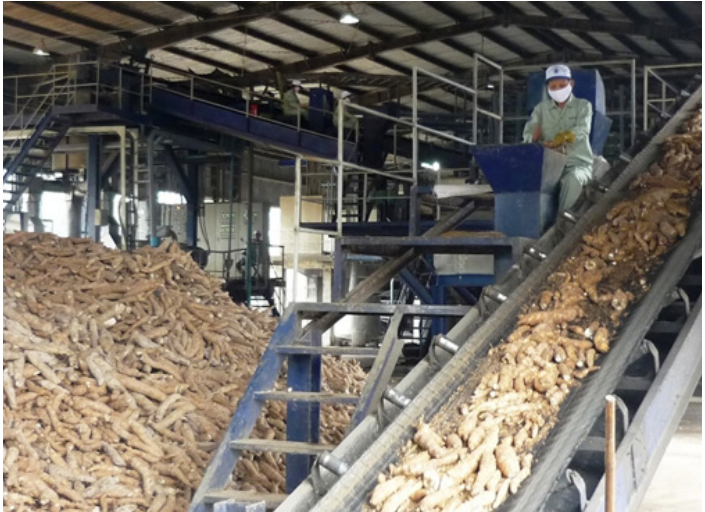Trung Quốc rất "khát" mặt hàng này nhưng nguồn cung của Việt Nam không còn nhiều - Ảnh 4. Trung Quốc rất "khát" mặt hàng này nhưng nguồn cung của Việt Nam không còn nhiều - Ảnh 4.
