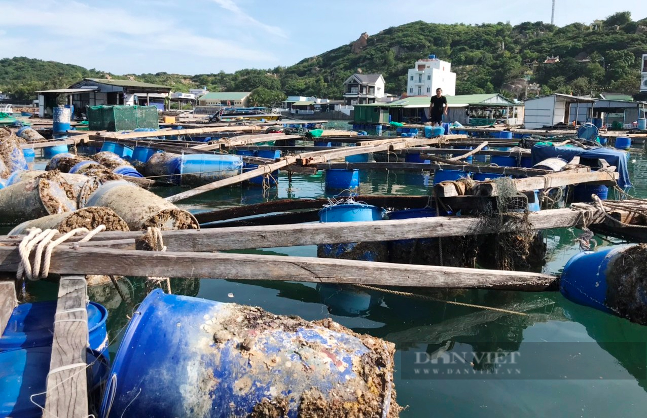 Sau bão số 9: Tan nát lồng bè Bình Hưng - Ảnh 1.