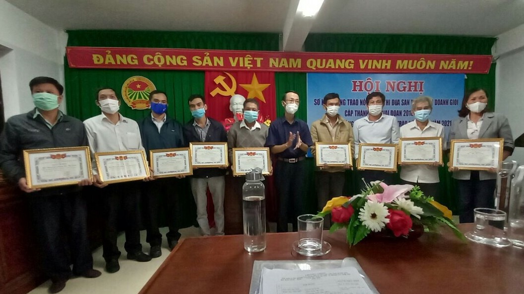 Bình Định: Nông dân Quy Nhơn năng động làm giàu từ kinh doanh dịch vụ và du lịch - Ảnh 1.