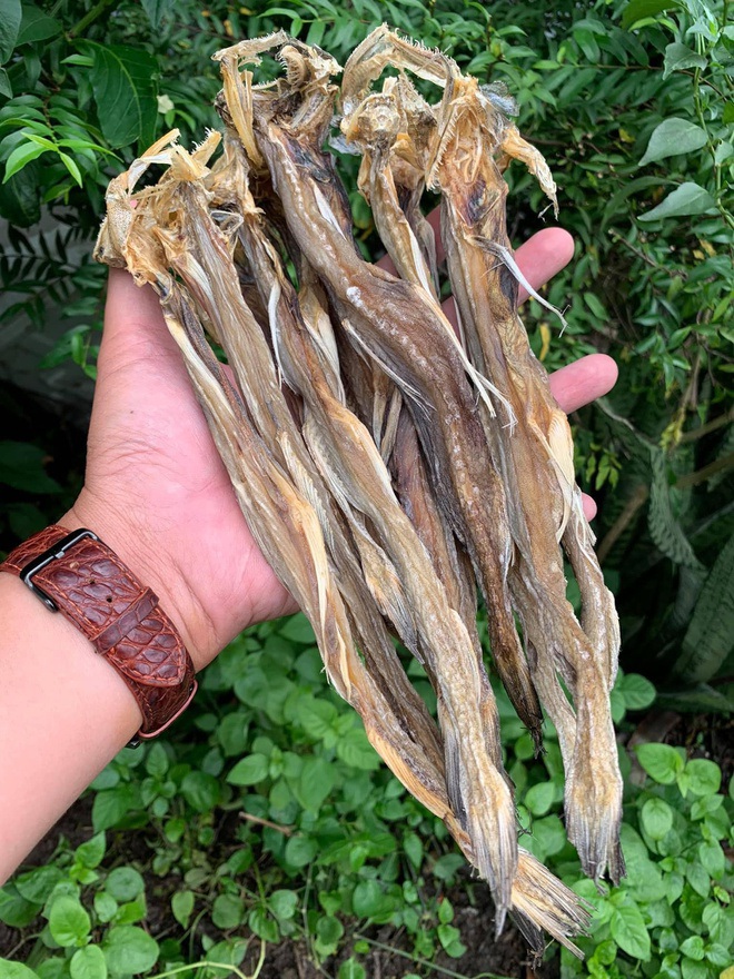 Món cá &quot;nhà nghèo&quot; ăn &quot;mềm như cháo&quot; thành đặc sản giá vài trăm nghìn/kg - Ảnh 7.