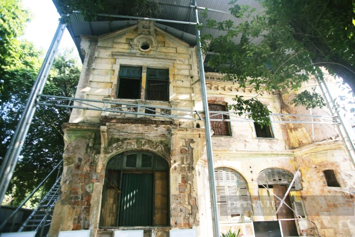 Biệt thự cổ gần 1.000 m2 bỏ hoang trên đất “kim cương” giữa Hà Nội, thành nơi nuôi gà chờ ngày được trùng tu - Ảnh 4.