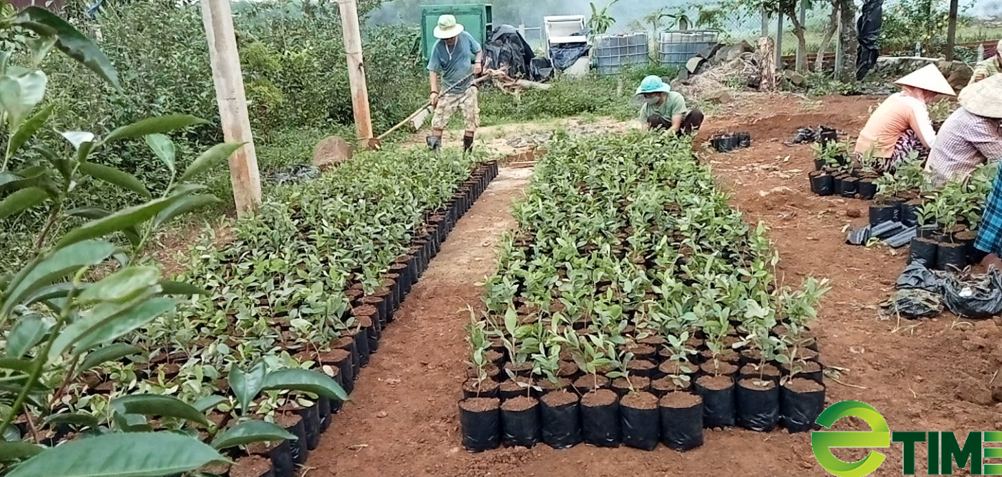 Chàng giảng viên đam mê giải mã chuỗi sản phẩm cây dược liệu quý - Ảnh 2. Chàng giảng viên đam mê giải mã chuỗi sản phẩm cây dược liệu quý - Ảnh 2.