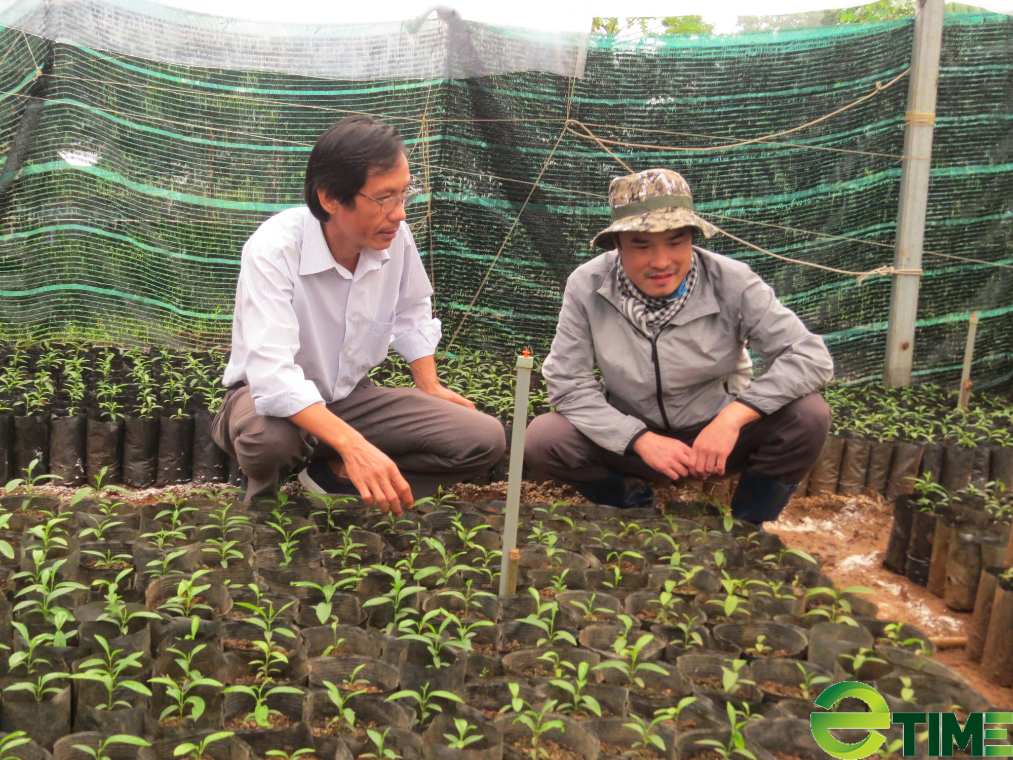 Chàng giảng viên đam mê giải mã chuỗi sản phẩm cây dược liệu quý - Ảnh 5. Chàng giảng viên đam mê giải mã chuỗi sản phẩm cây dược liệu quý - Ảnh 5.