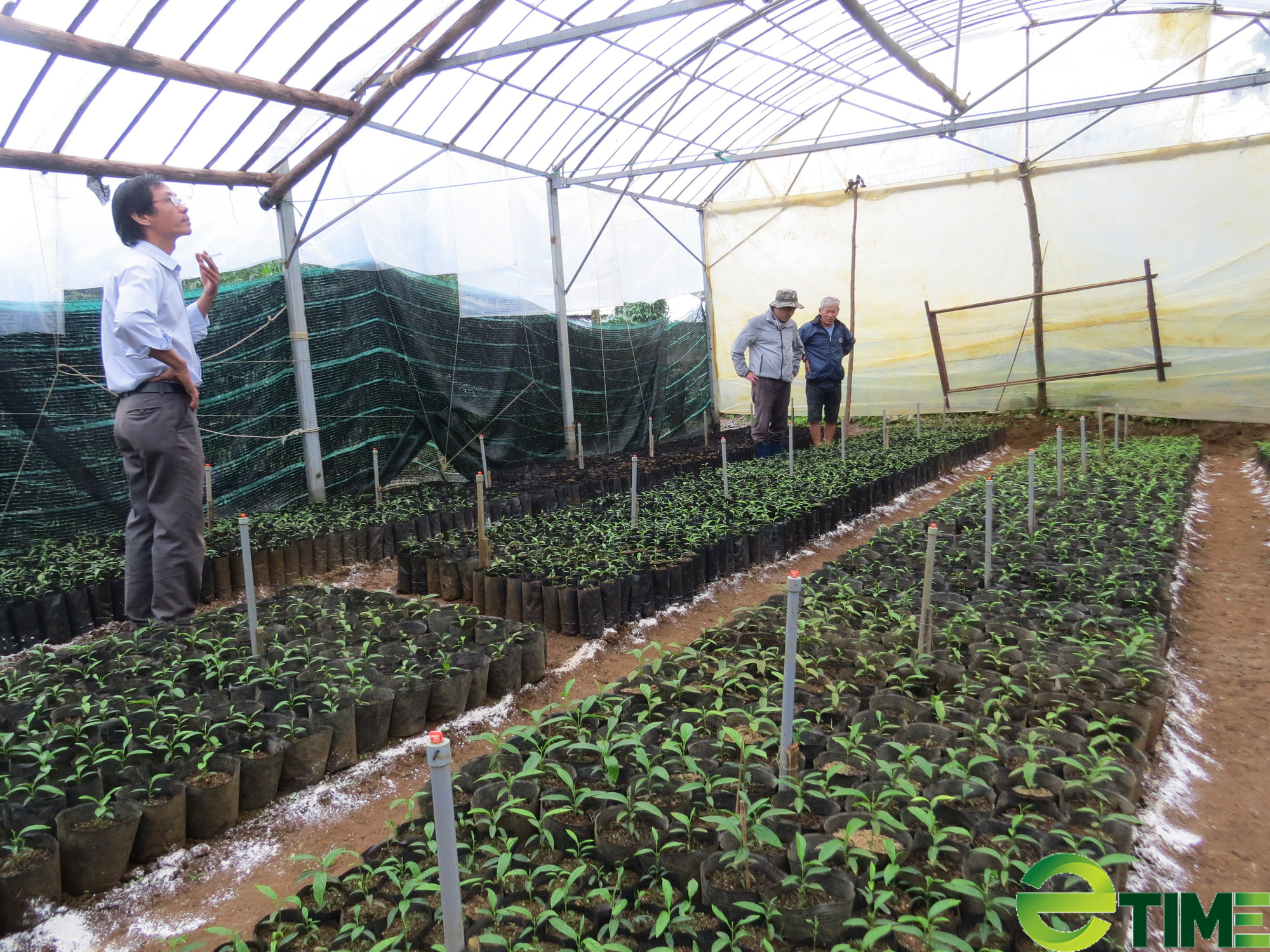 Chàng giảng viên đam mê giải mã chuỗi sản phẩm cây dược liệu quý - Ảnh 3. Chàng giảng viên đam mê giải mã chuỗi sản phẩm cây dược liệu quý - Ảnh 3.