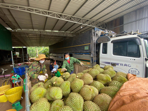 Trung Quốc nâng hàng rào kiểm soát nông sản nhập khẩu vào năm 2022, Bộ NNPTNT nói gì? - Ảnh 4.