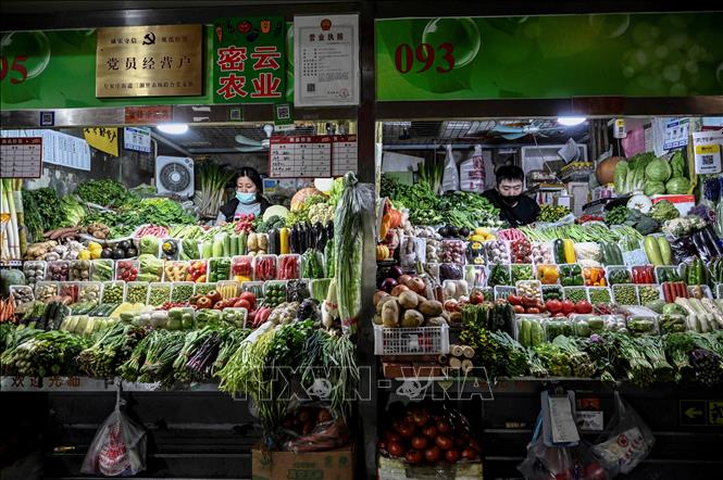 Xu hướng kinh tế toàn cầu 2022: Tăng trưởng bất chấp lạm phát - Ảnh 5.