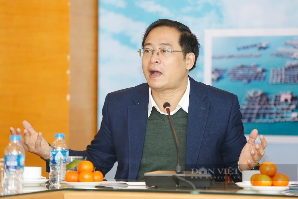 Trực tiếp tọa đàm: Xuất khẩu thủy sản bền vững trong bối cảnh hội nhập kinh tế quốc tế - Ảnh 1.