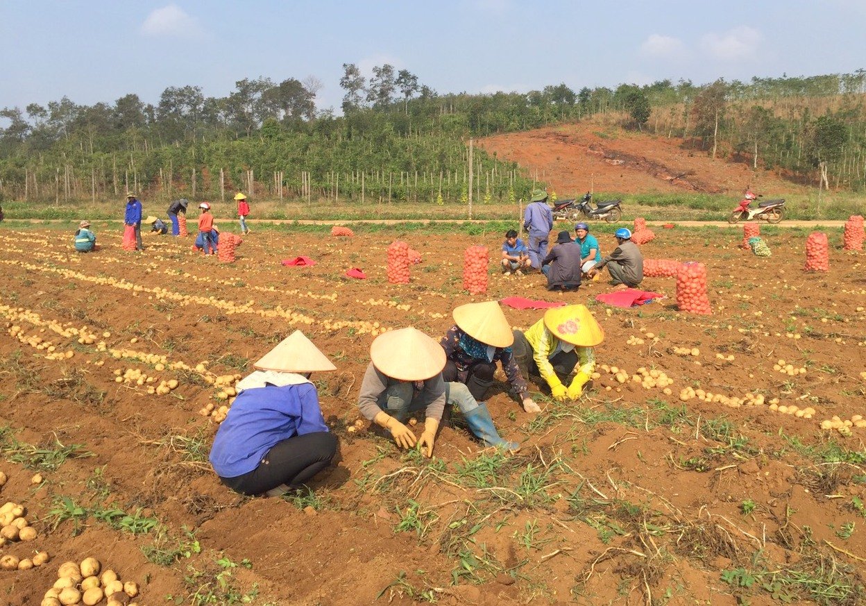 Huyện Tuy Đức: Những thành tựu sau 15 năm hình thành, phát triển - Ảnh 4.