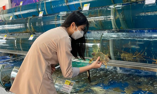 Tăng tốc bung hàng, giảm giá cuối năm - Ảnh 2.