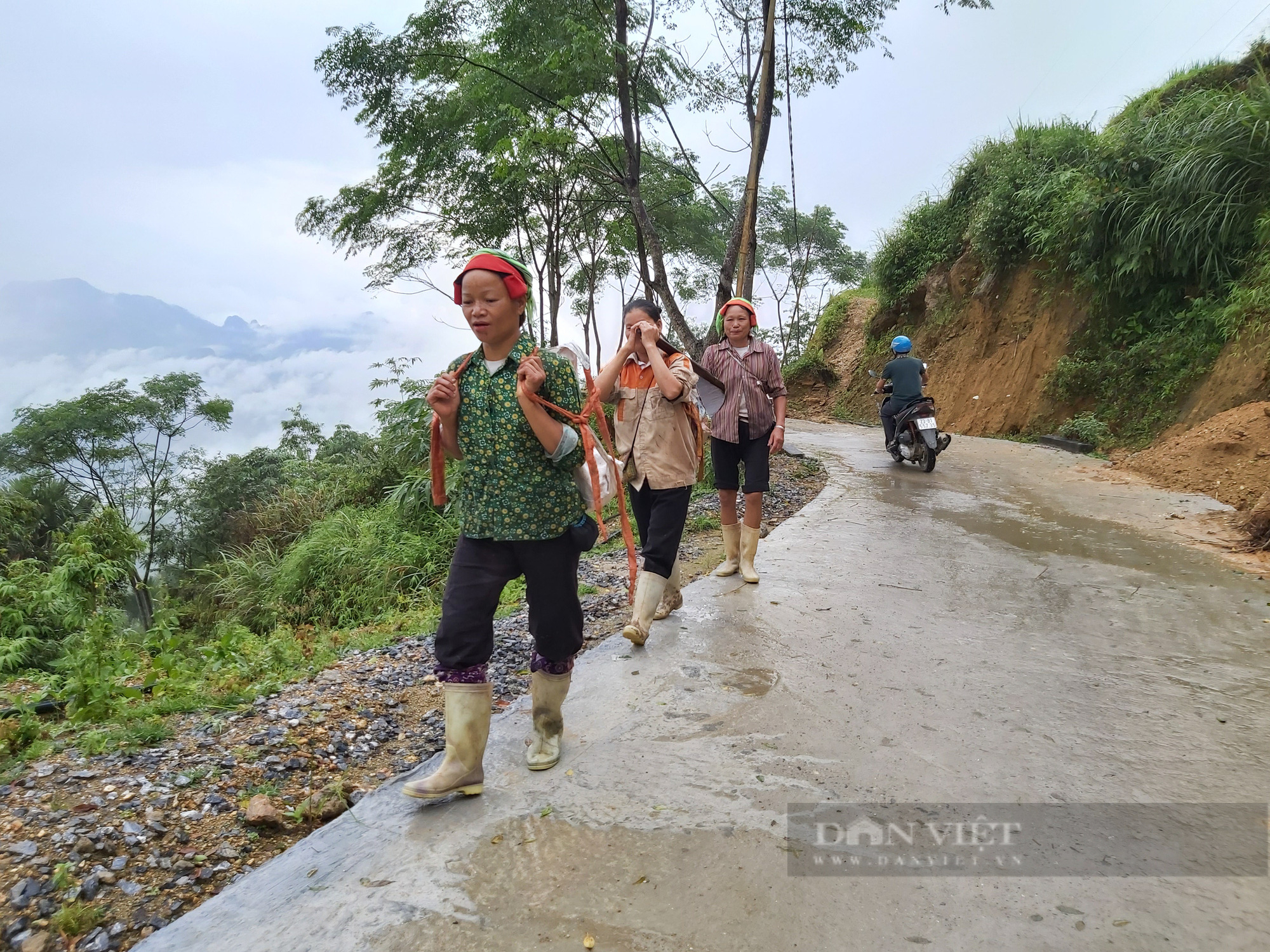 Hà Giang: - Ảnh 2.