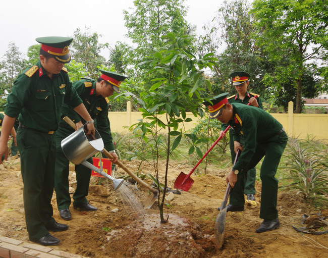 Xây dựng chỉ dẫn địa lý cho sản phẩm mai vàng của Thừa Thiên Huế - Ảnh 3.